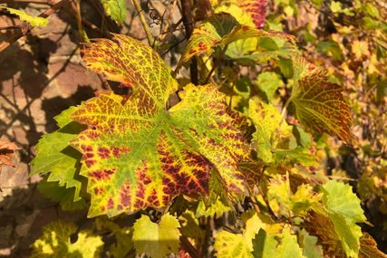 Copyright: KG Kuddewoerde