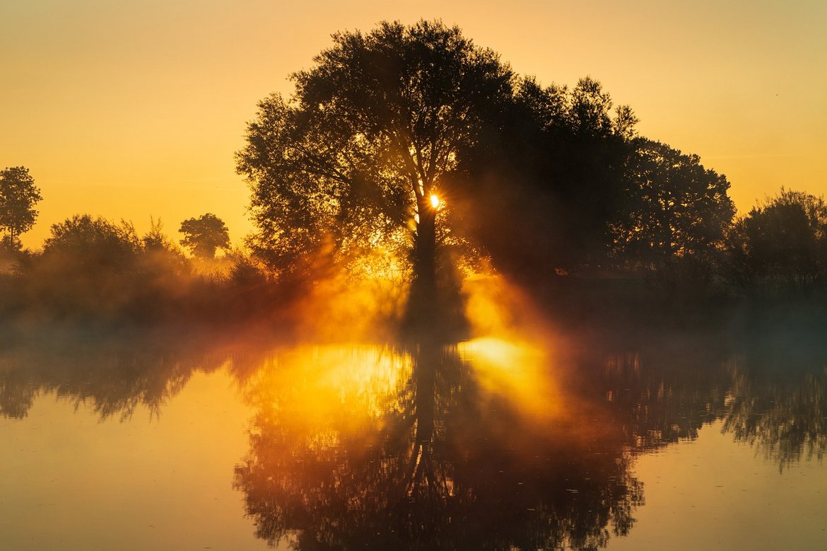 Sonnenaufgang an einem See, mit einem Baum, durch den die Sonne hindurchscheint.
