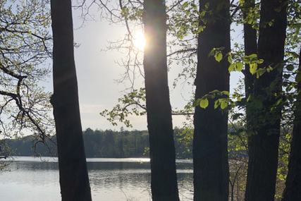 Copyright: KG Kuddewörde 