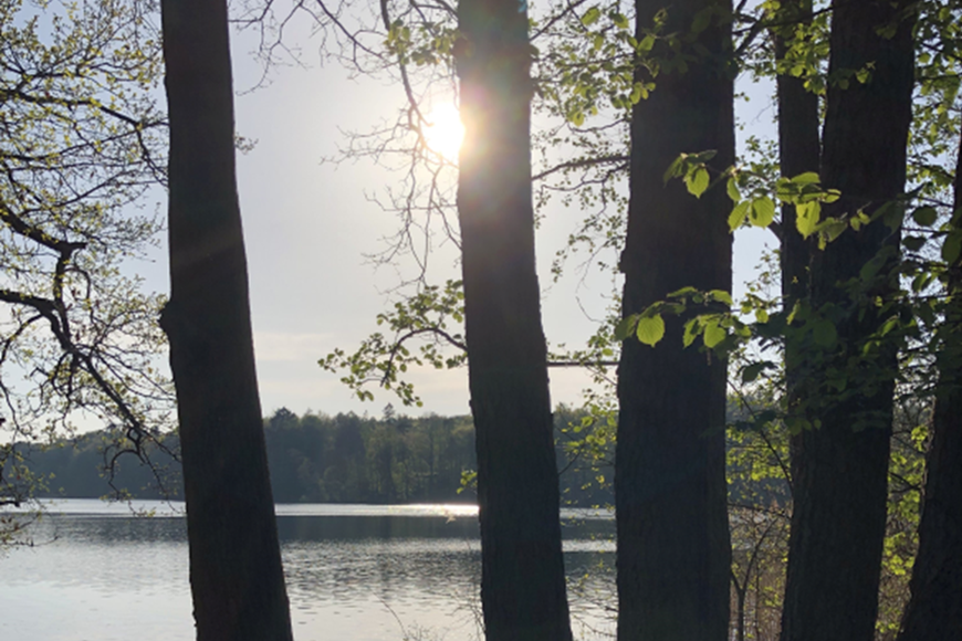 Copyright: KG Kuddewörde 