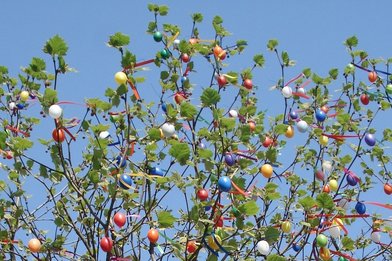 Ein großer Baum vor strahlend blauem Himmel übervoll mit bunten Ostereiern behängt - Copyright: Dörte Rausch