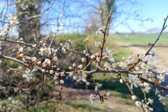 Copyright: KG Kuddewoerde