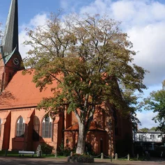 Kirchengebäude mit Bäumen
